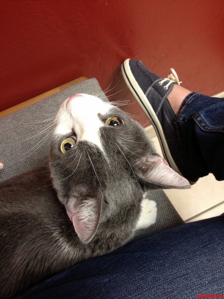 The Cancer Just Makes His Eye So Pretty Fuck Cancer.