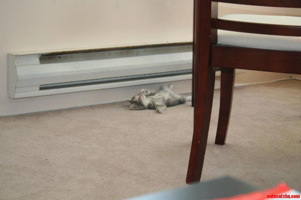 The Day Teddy Discovered the Heaters.
