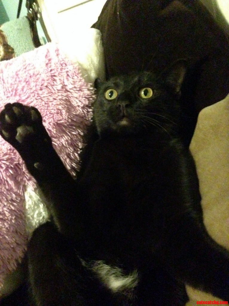 The Face of Pure Terror