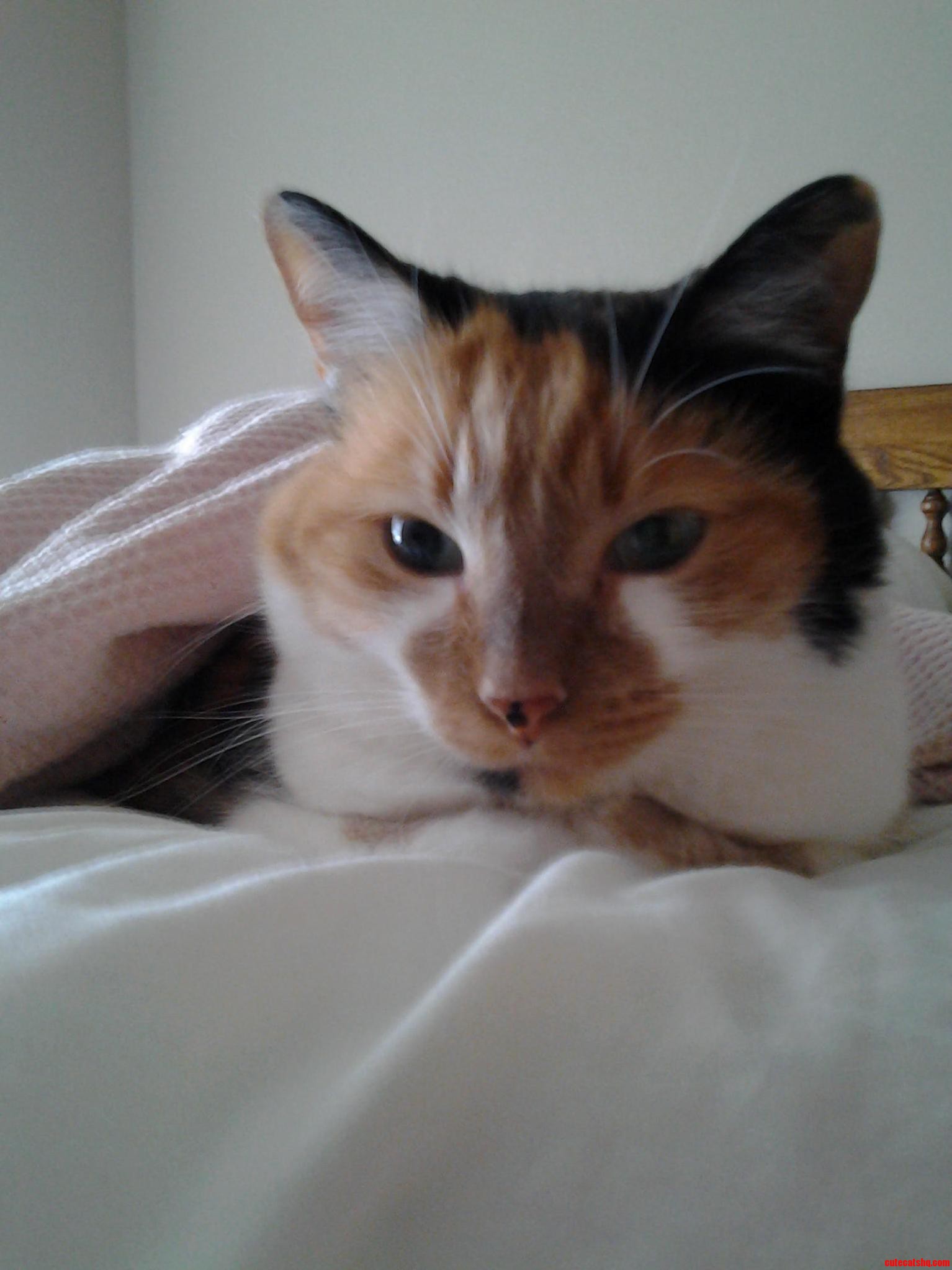 The Look I Get When I Interrupt Nap Time