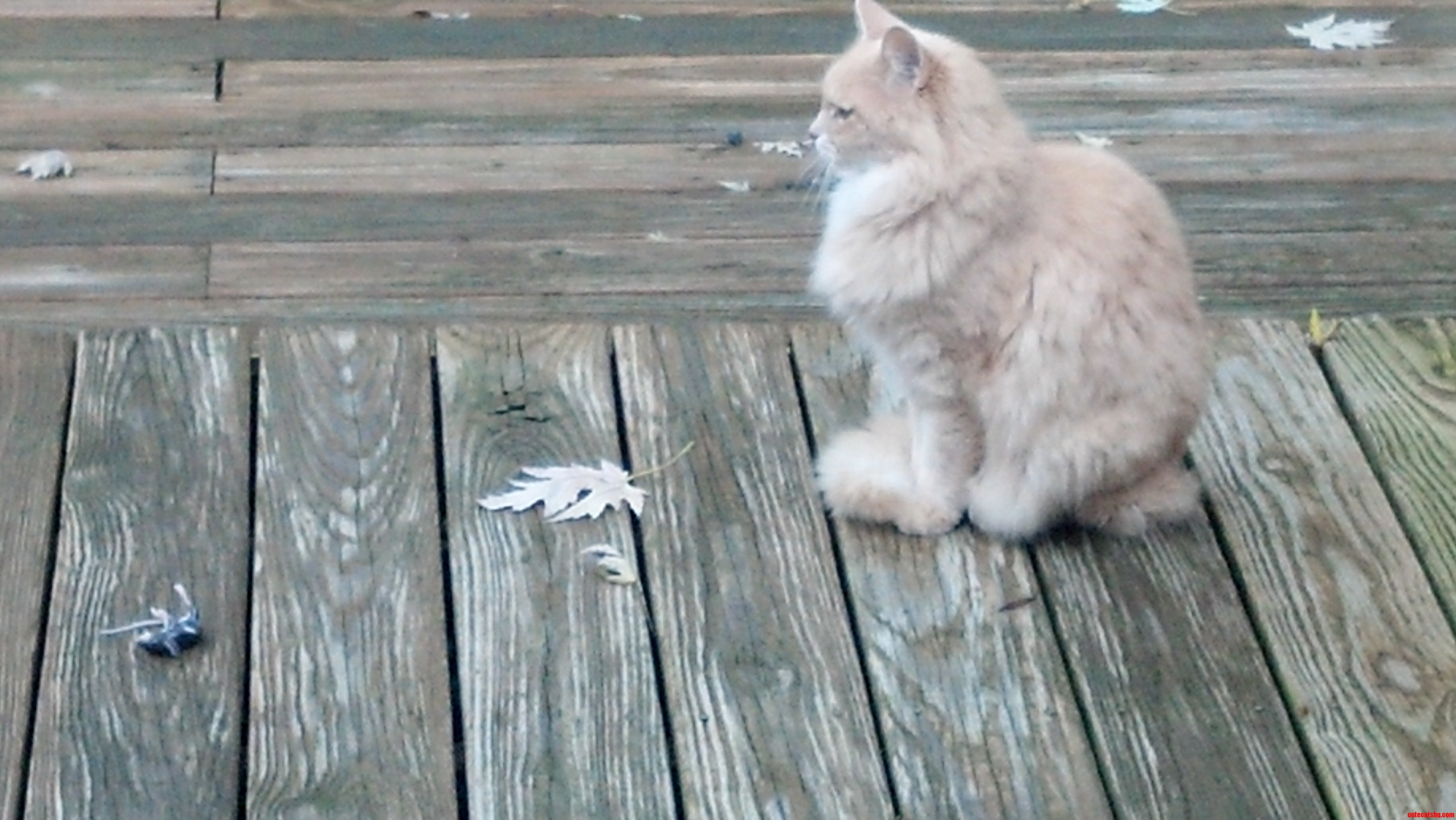 The Mighty Hunter Never Rests.