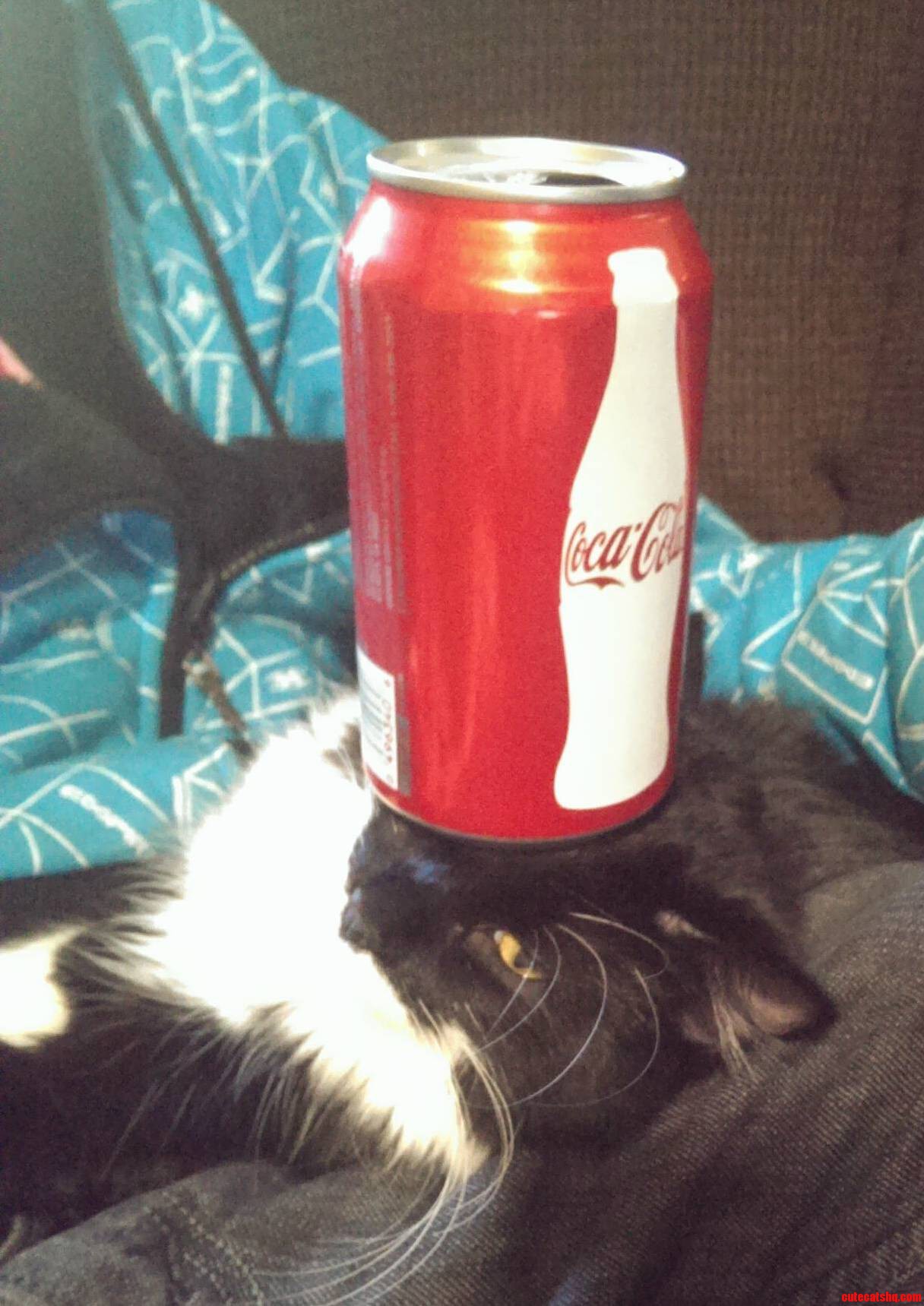 The Perfect Cup Holder