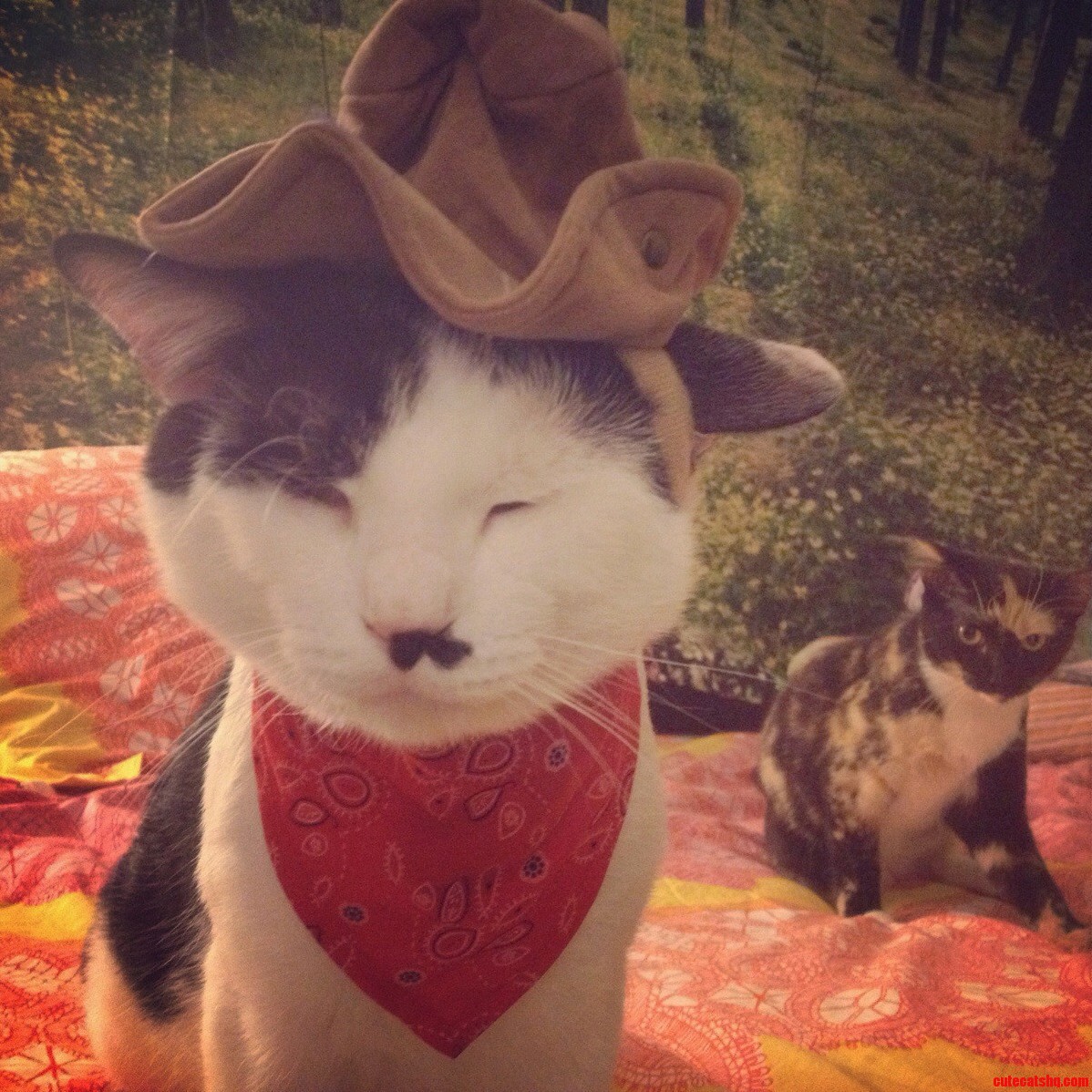 The Sheriff Is in Town.