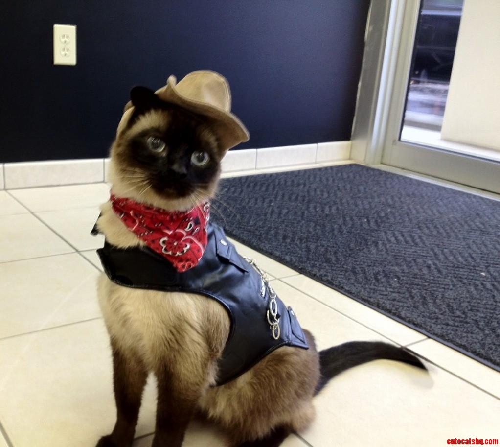 Theres a New Sheriff in Town.