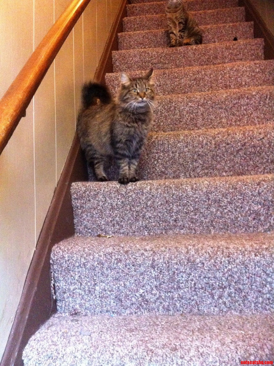 Theres a Storm Coming Mister Wayne. and I Am Not Going Outside in It.