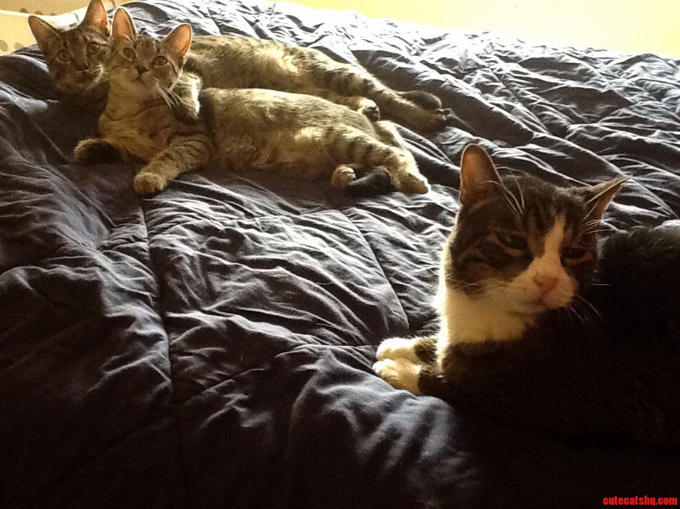 They Are Disgustingly Cute.