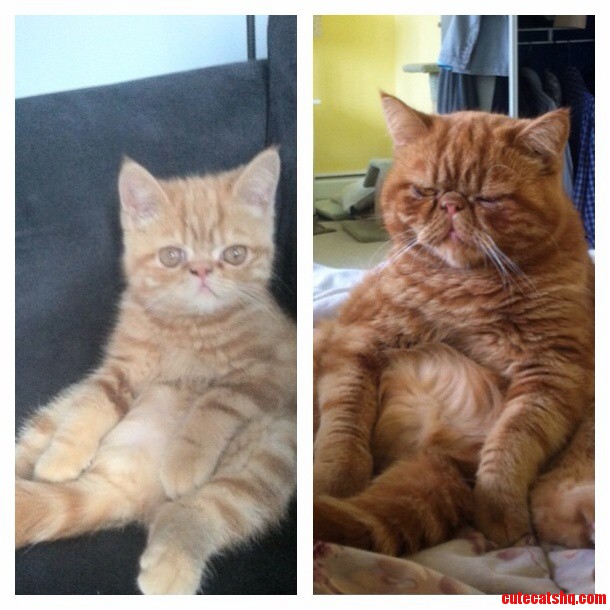 They Grow Up So Fast