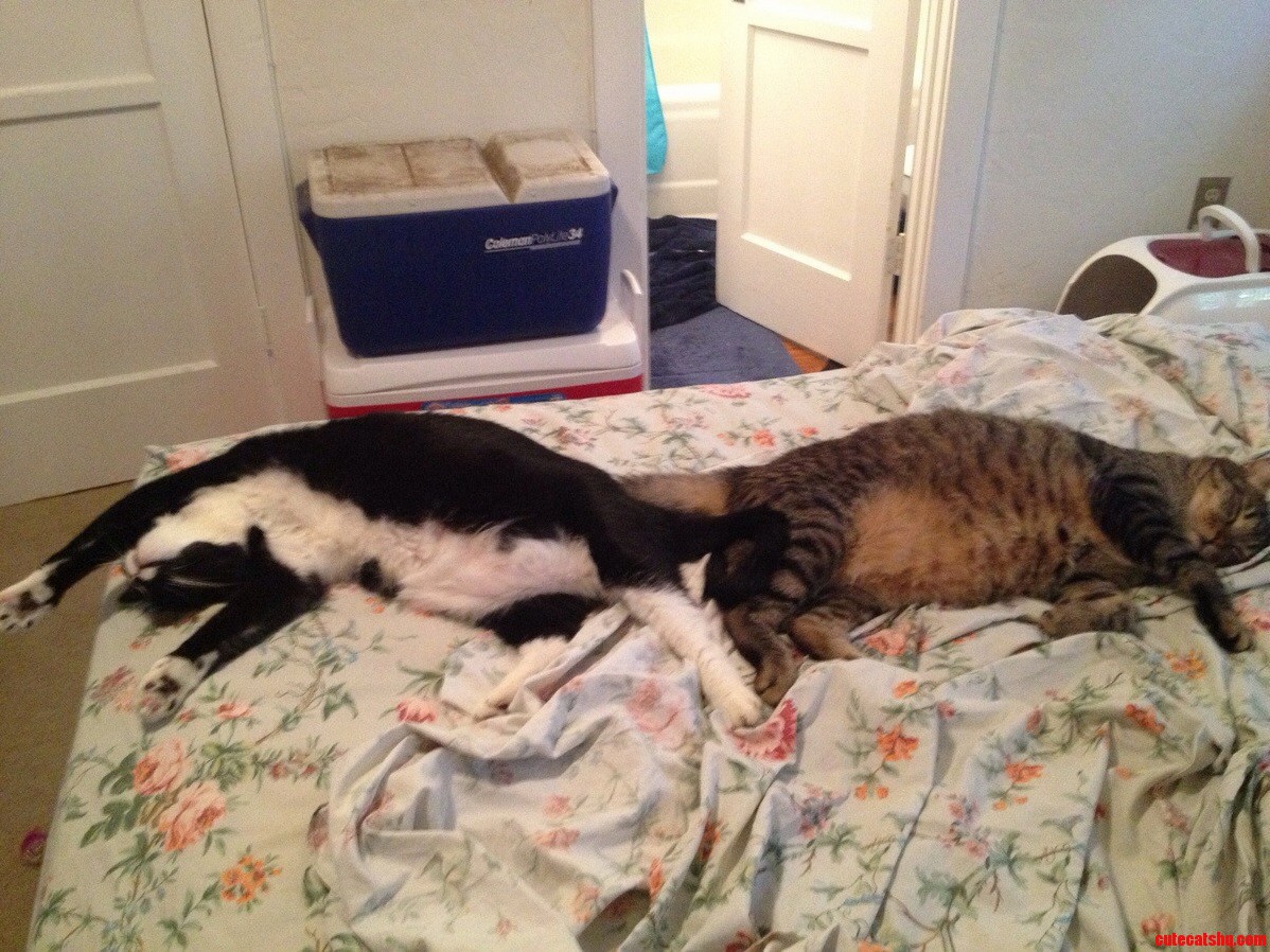They Had a Long Day.