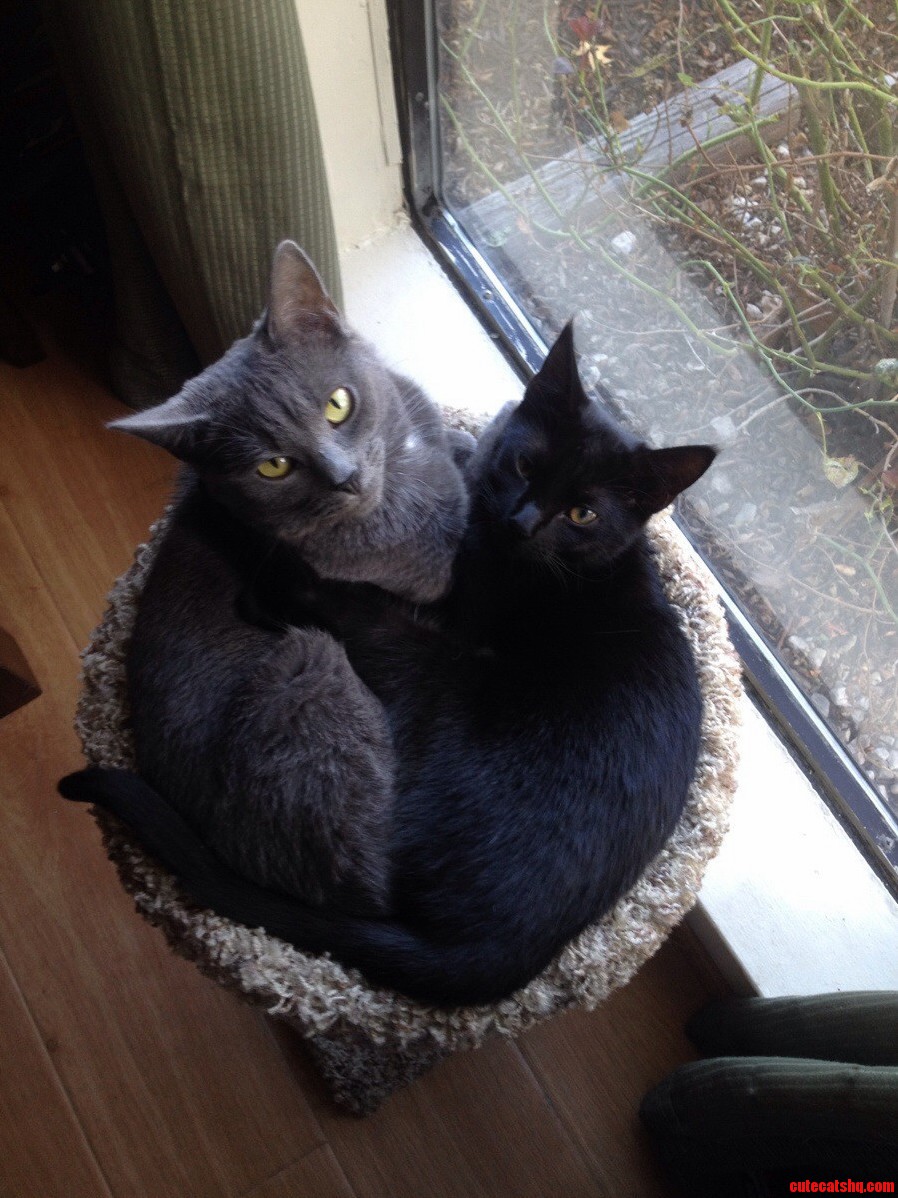 Theyre Learning to Share Finally...