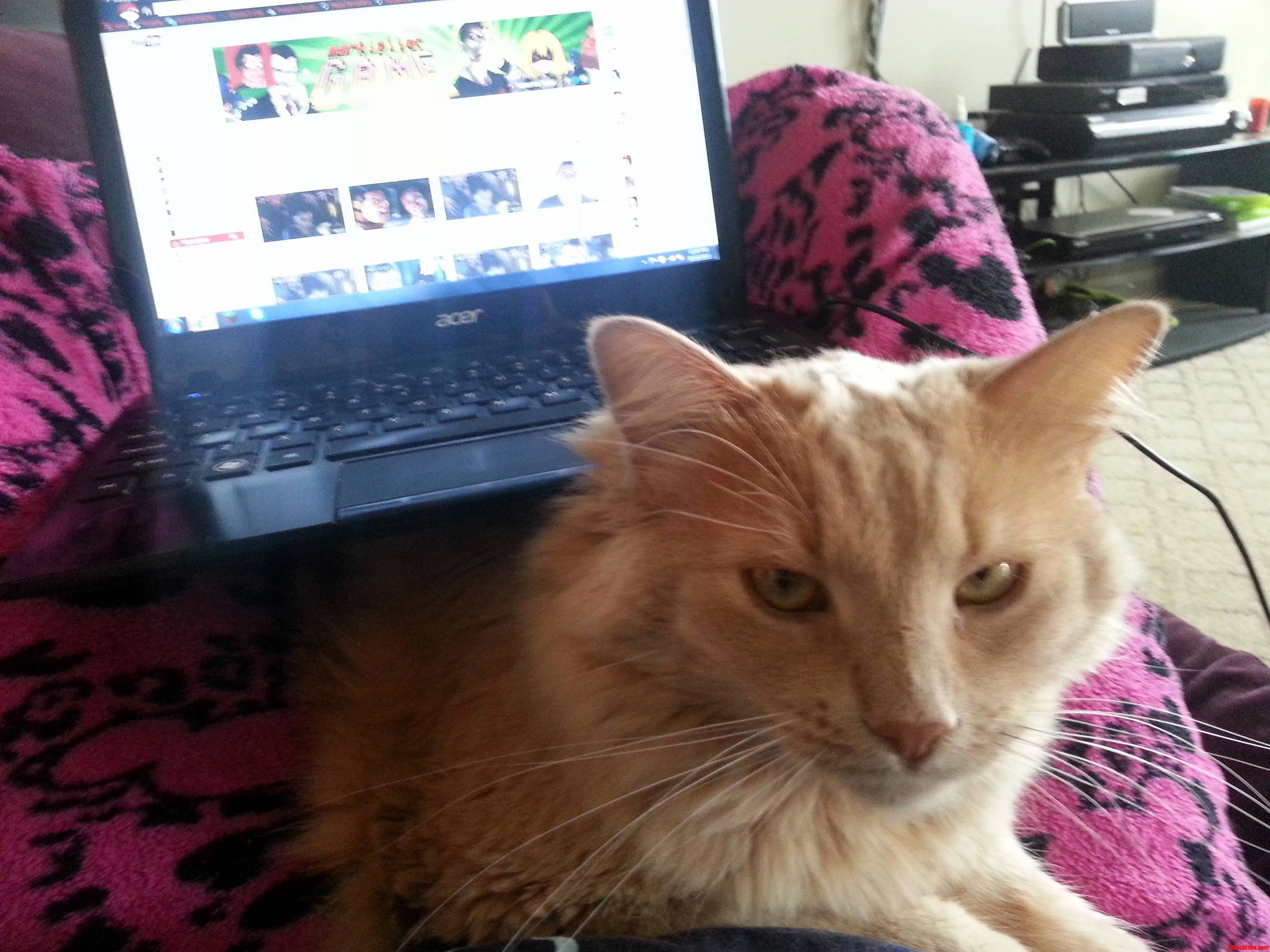 This Is How Fluffy and Me Watch Youtube Together.