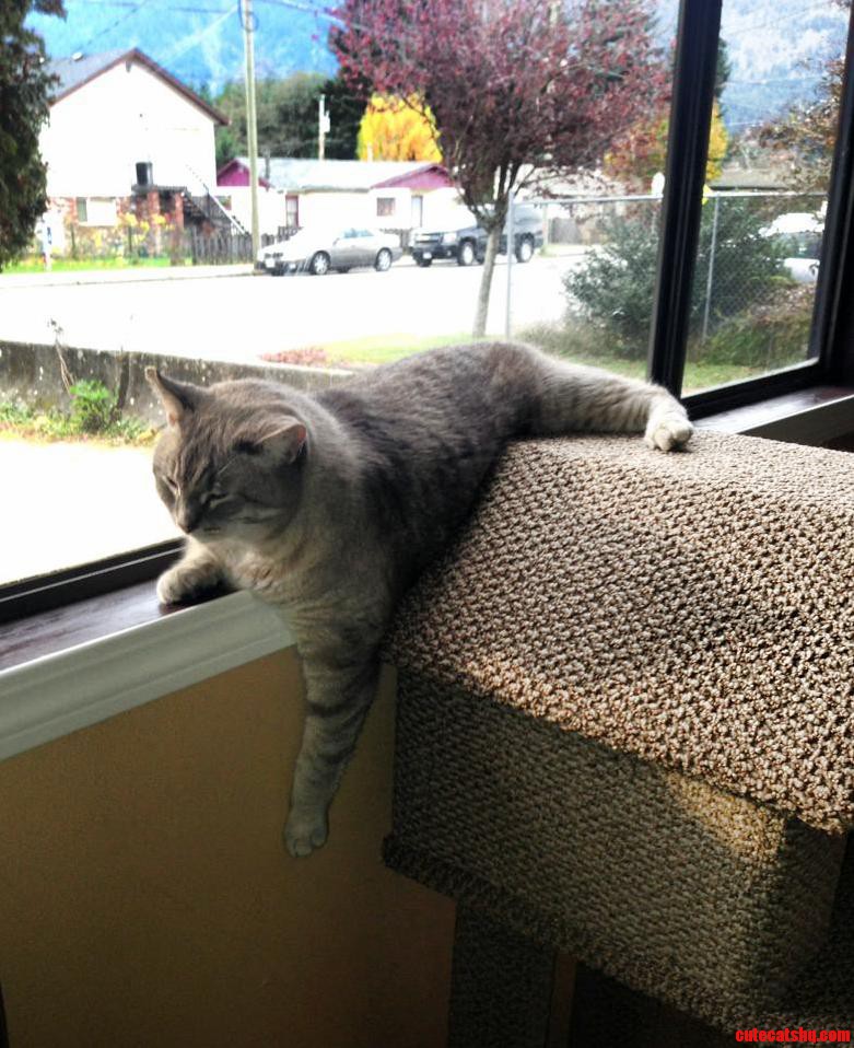 This Is How Garrett Chills.