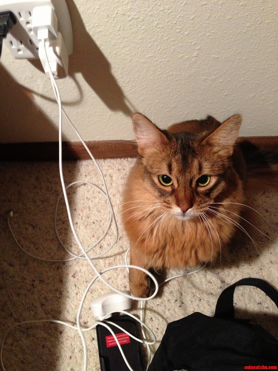 This Is How I Find Him Staring at Me in the Middle of the Night.