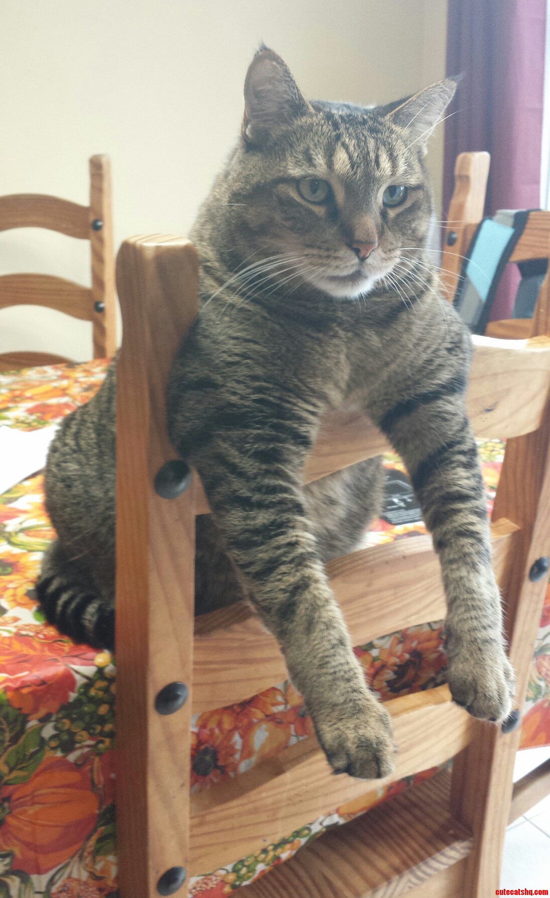 This Is How Max Likes to Chill