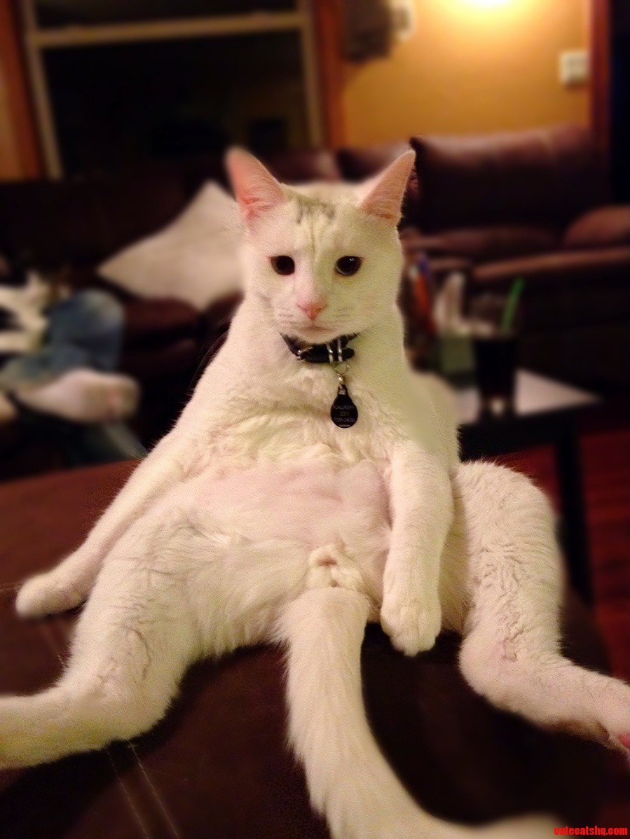 This Is Kalash. Yeah Hes Pretty Odd.