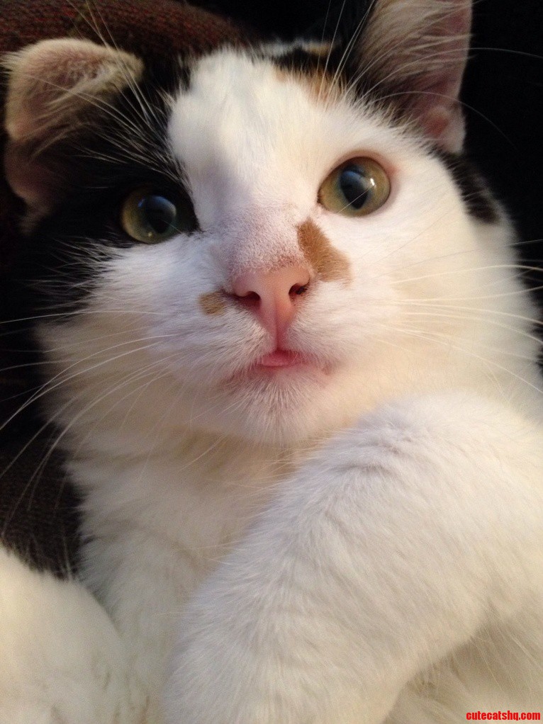 This Is Marceline