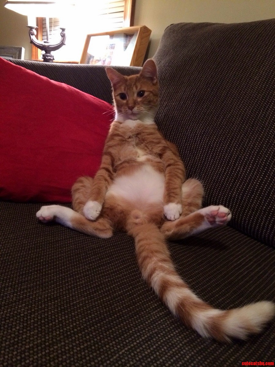 This Is My Henry Boy. He Makes Me Laugh Everyday.
