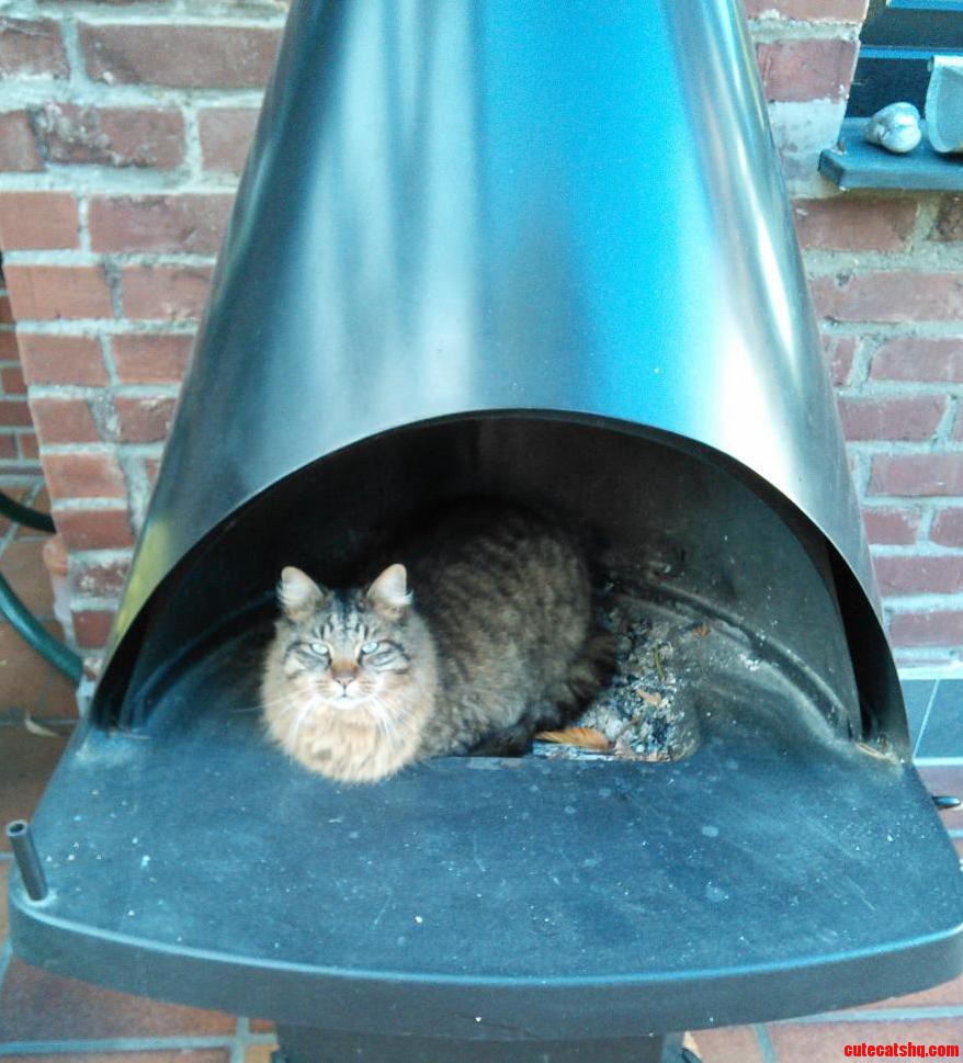 This Is My New Holiday Home