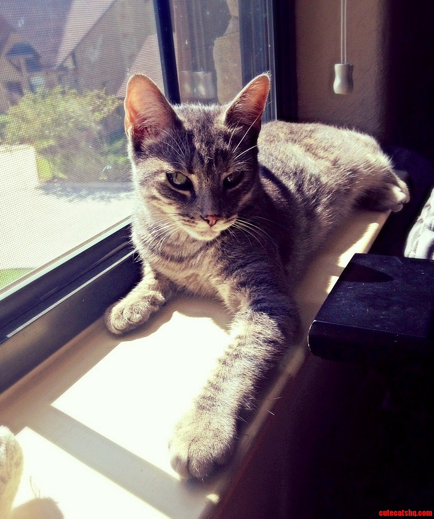 This Is My Princess Libby Who Has Been on Many Times and Loves the Attention.