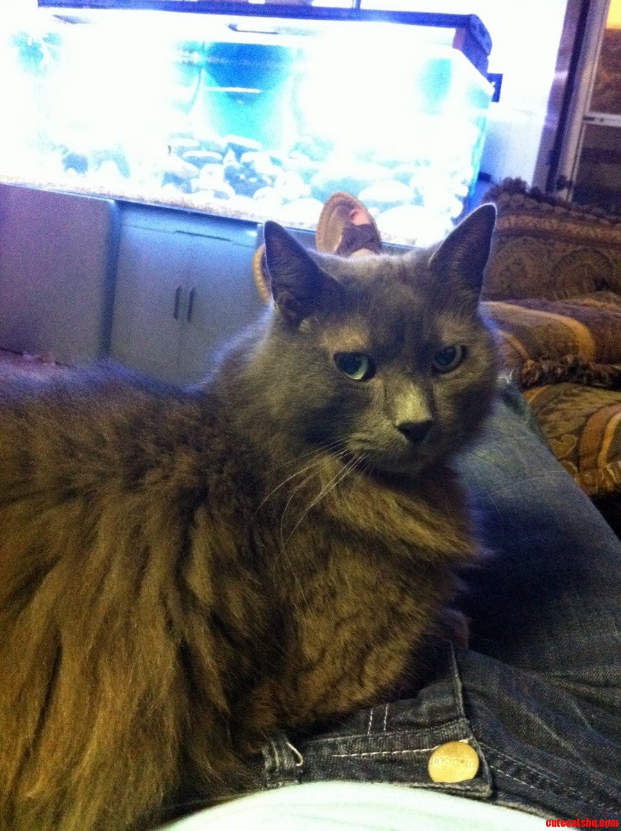 This Is My View the Entire Time I Visit My Mom.