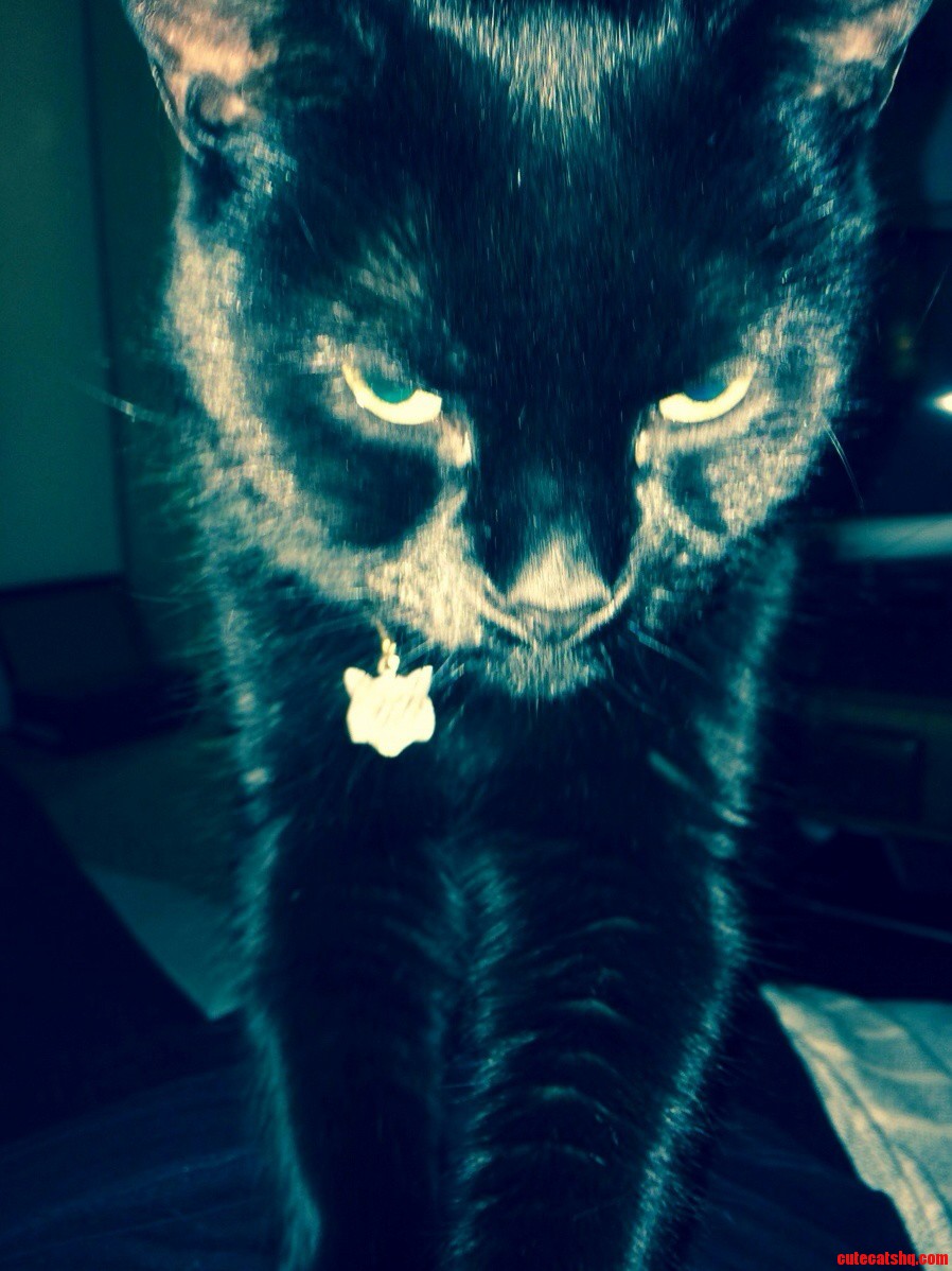 This Is the Look I Get Whilst Being Massaged