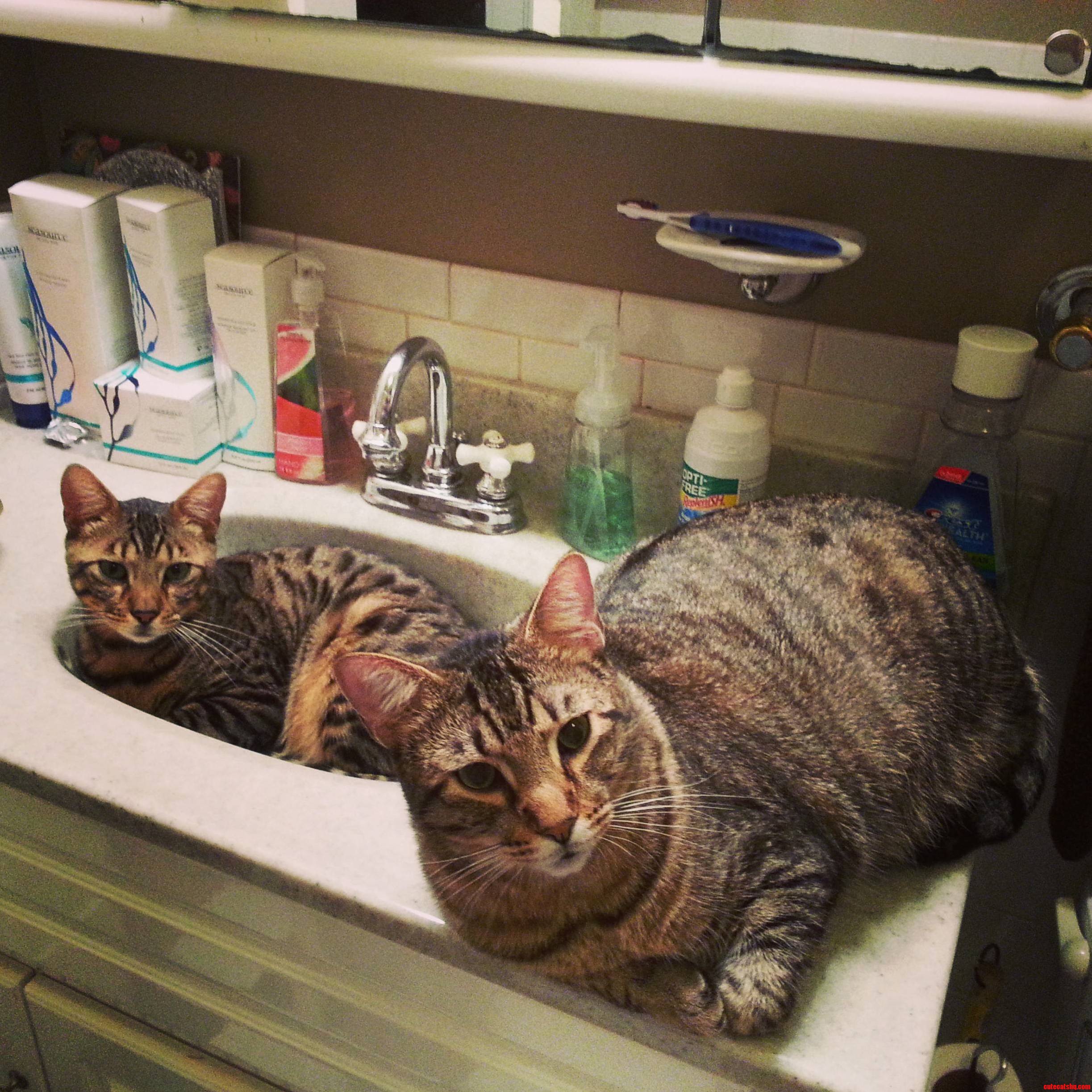 This Is What Greets Me When I Get Out of the Shower Every Morning.