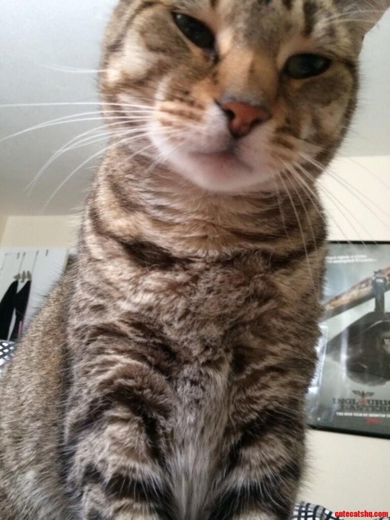 This Is What I Wake Up to Most Mornings.
