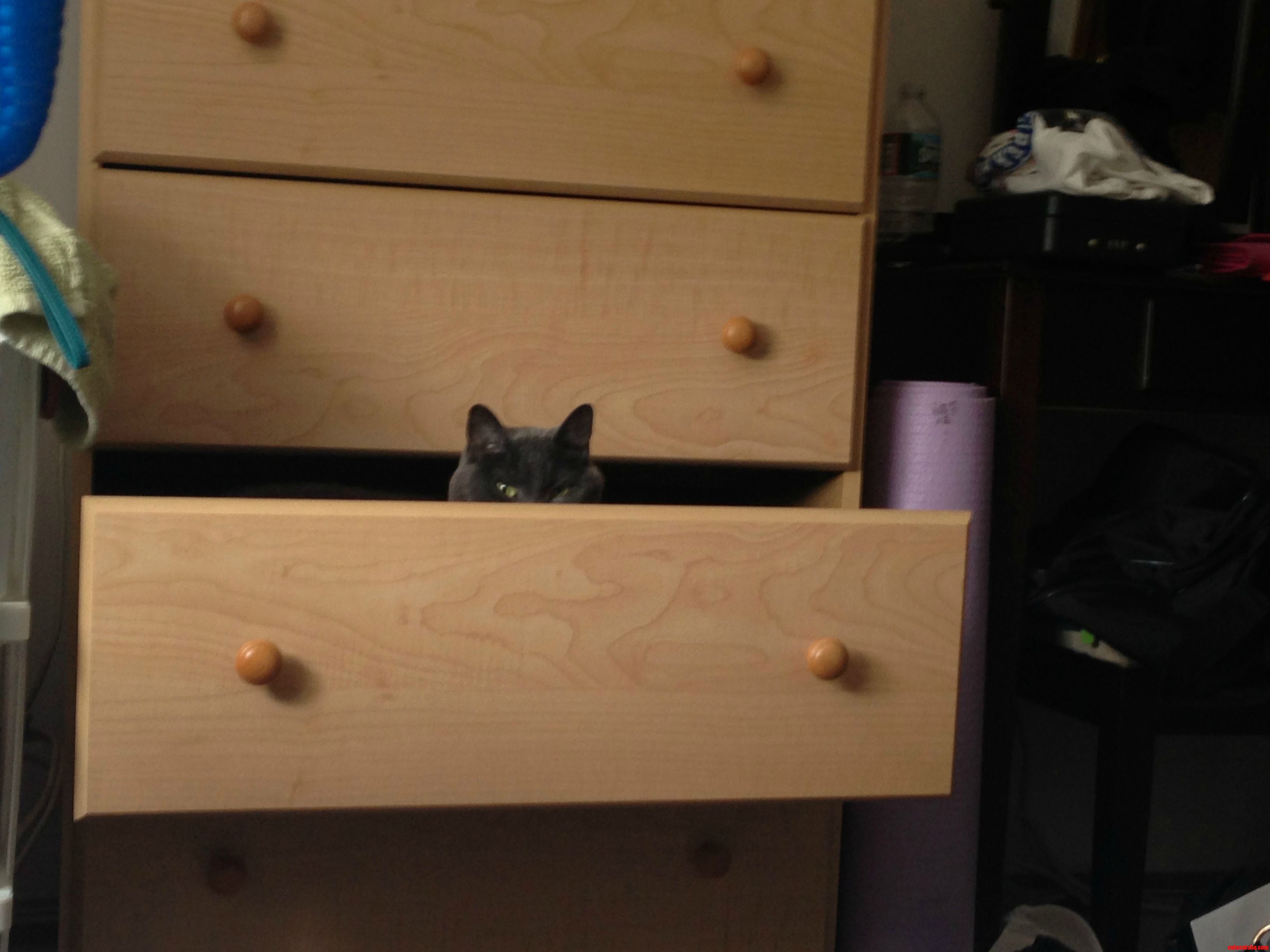 This Is What I Woke Up to Today...