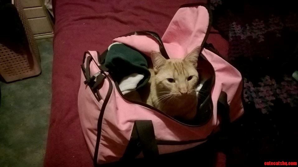 This Is What My Friends Mother Has to Deal with Before Trips.