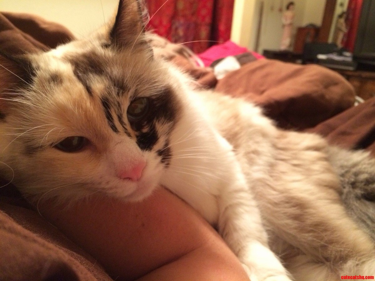 This Little Face Melts My Heart.