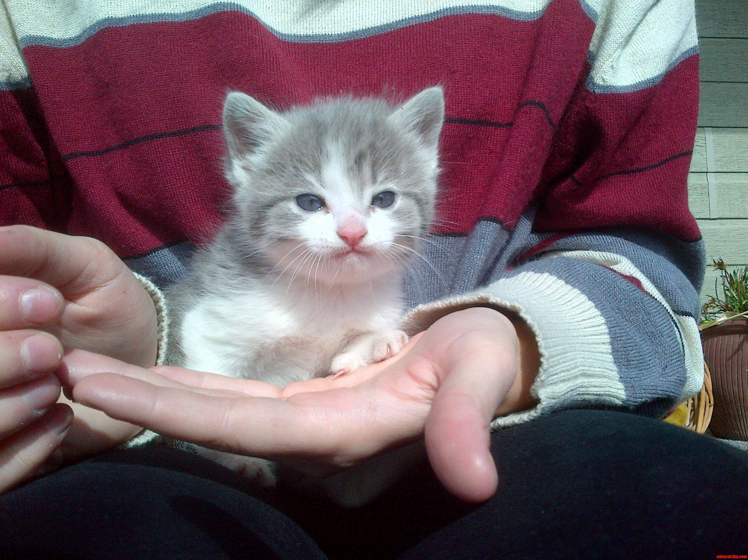 This Little Guy Stole My Heart