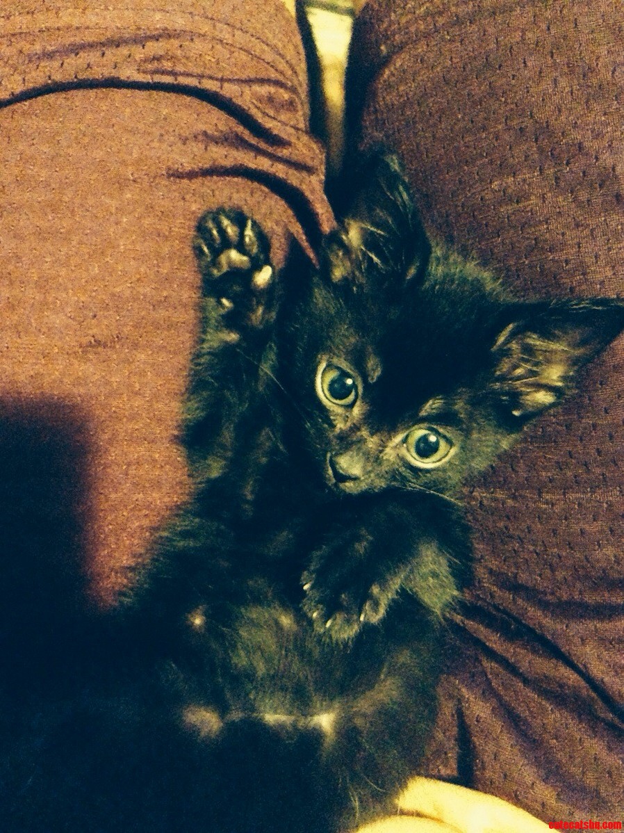 Those Eyes Get Me Every Time