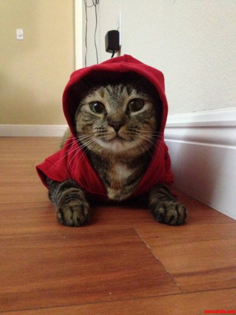 Thug Cat Life