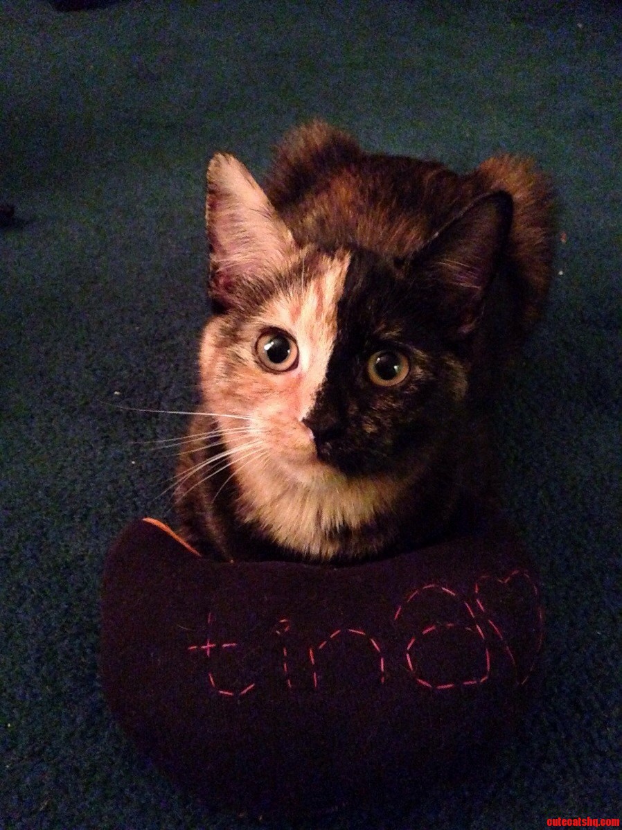 Tina and Her Ridiculous Face.
