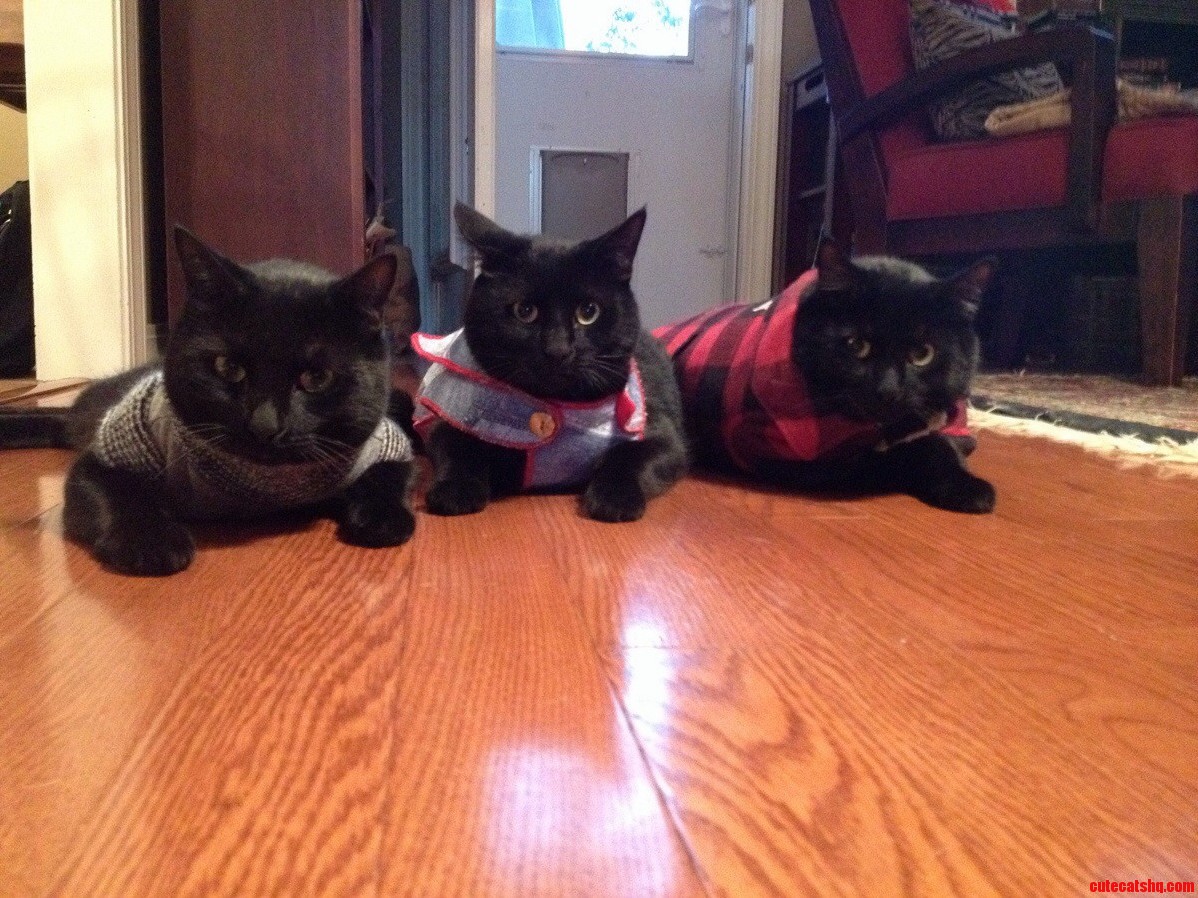 Tis the Season of Humiliation.