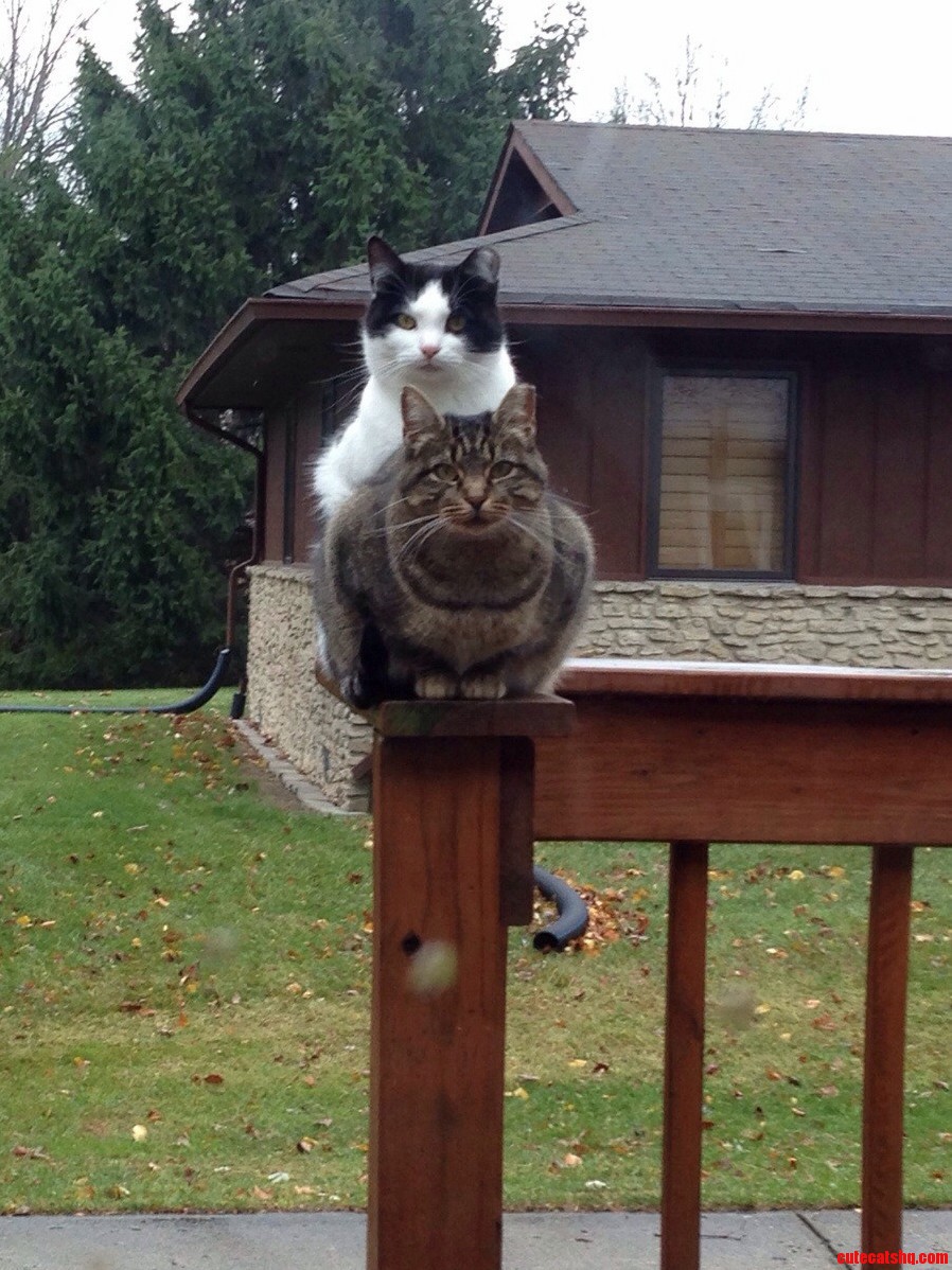 Tory and Her Mom Are Wondering Where Dinner Is