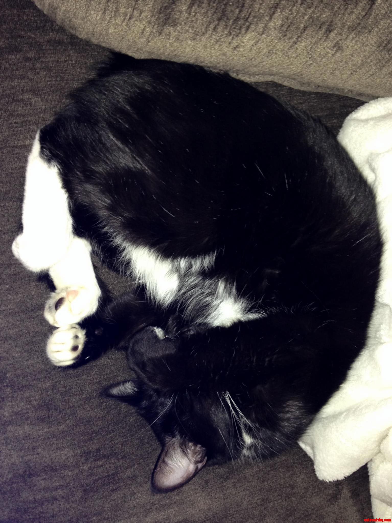 Tyrone Is a Little Camera-shy.
