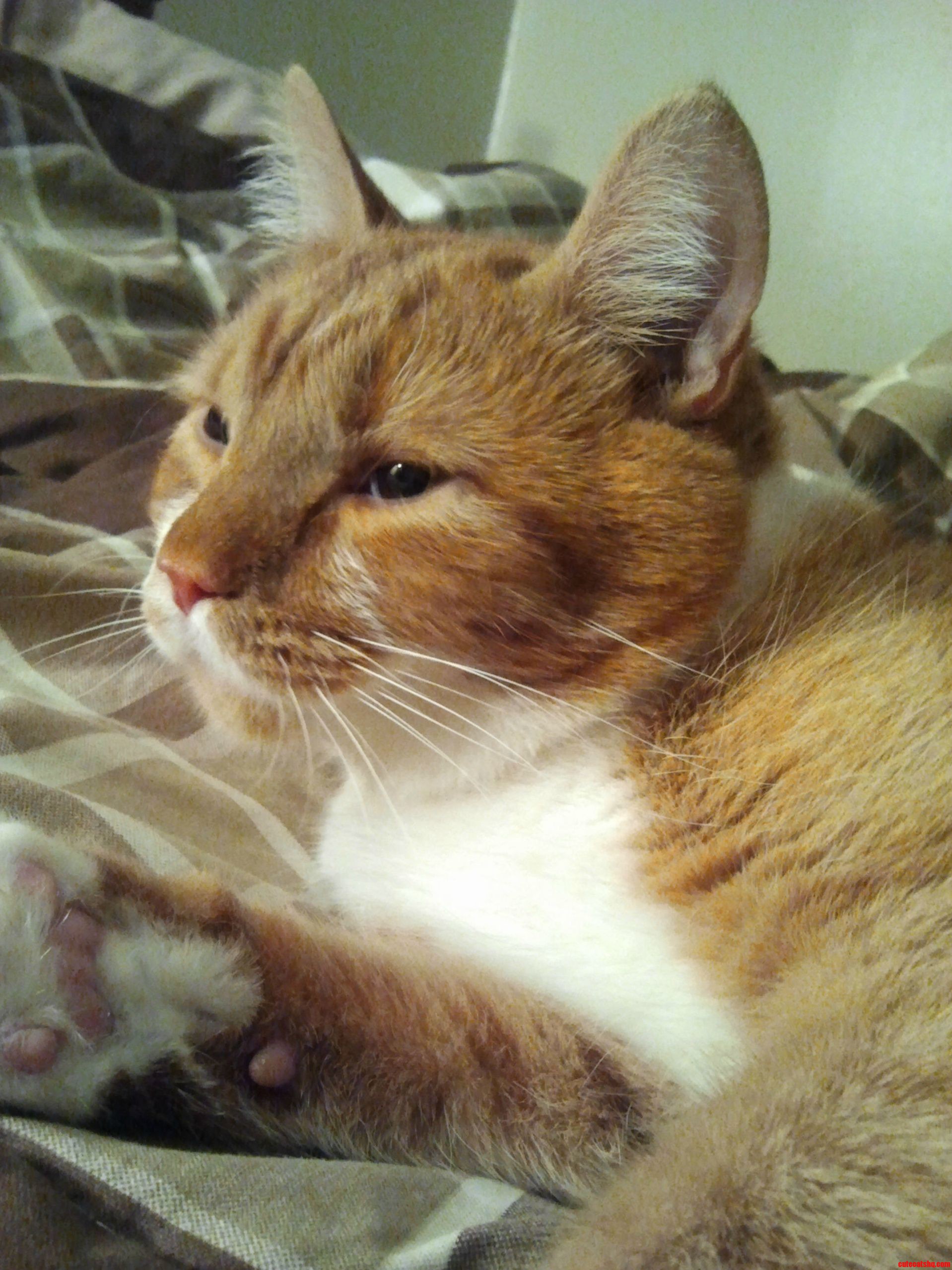 Ulysses in Deep Thought.