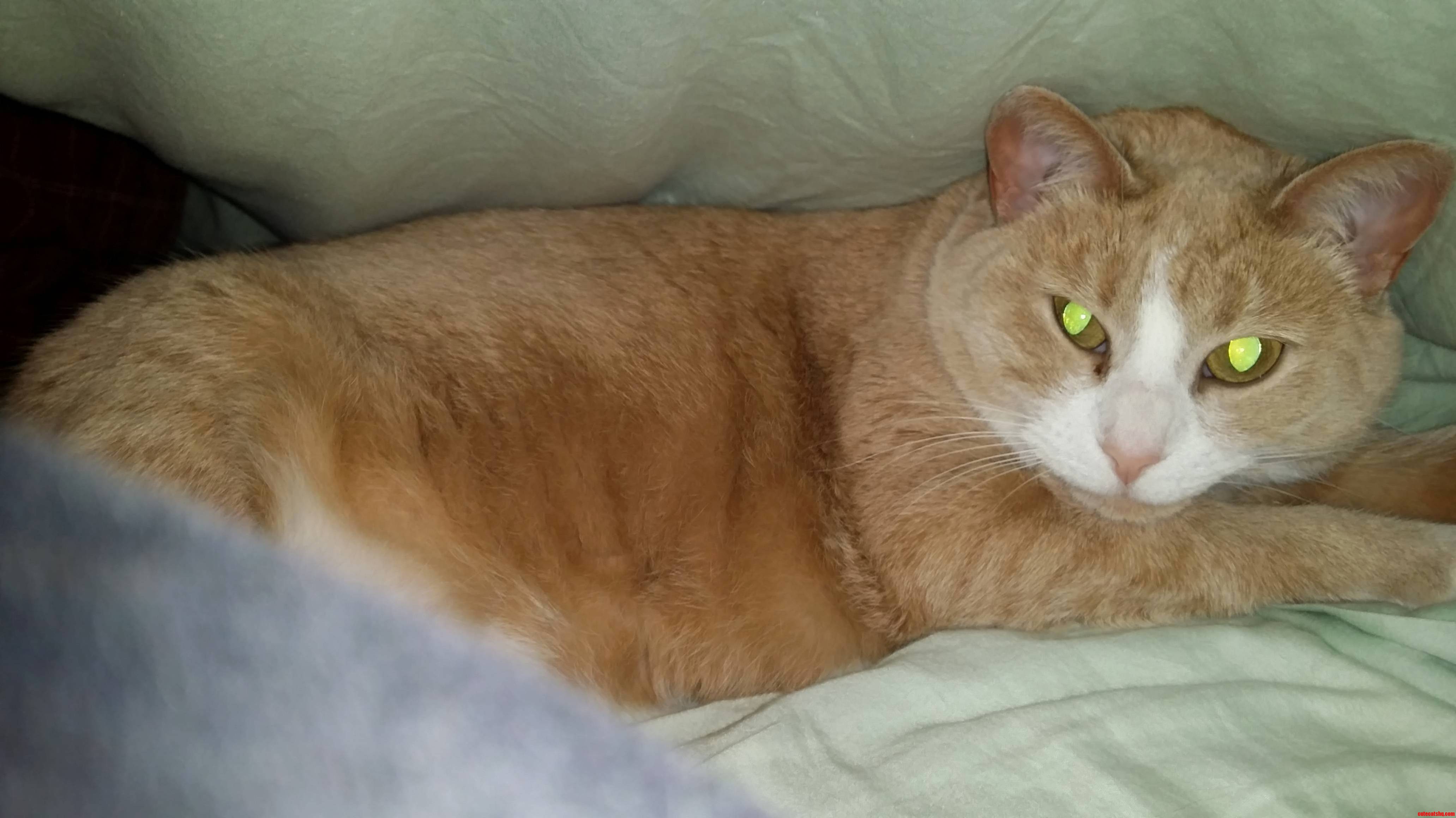 Under the Covers Snuggles