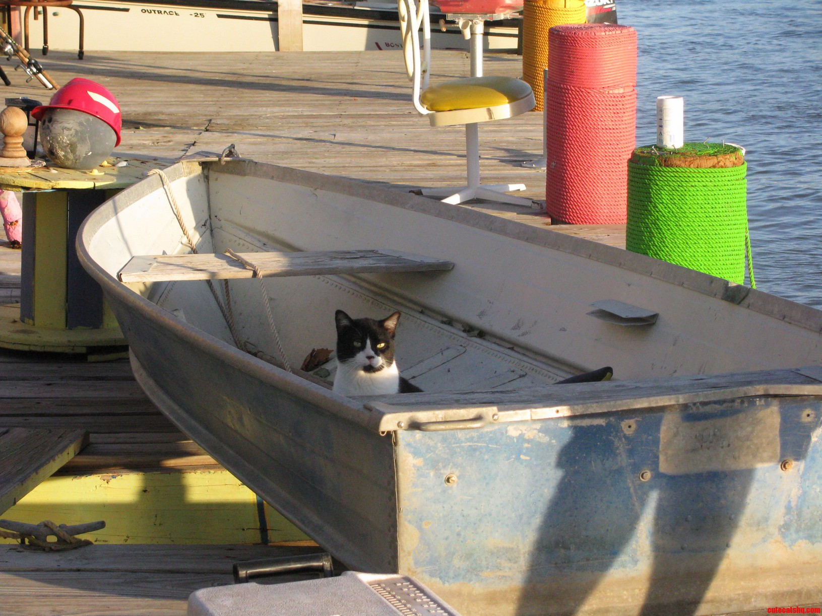 Uss Catfish