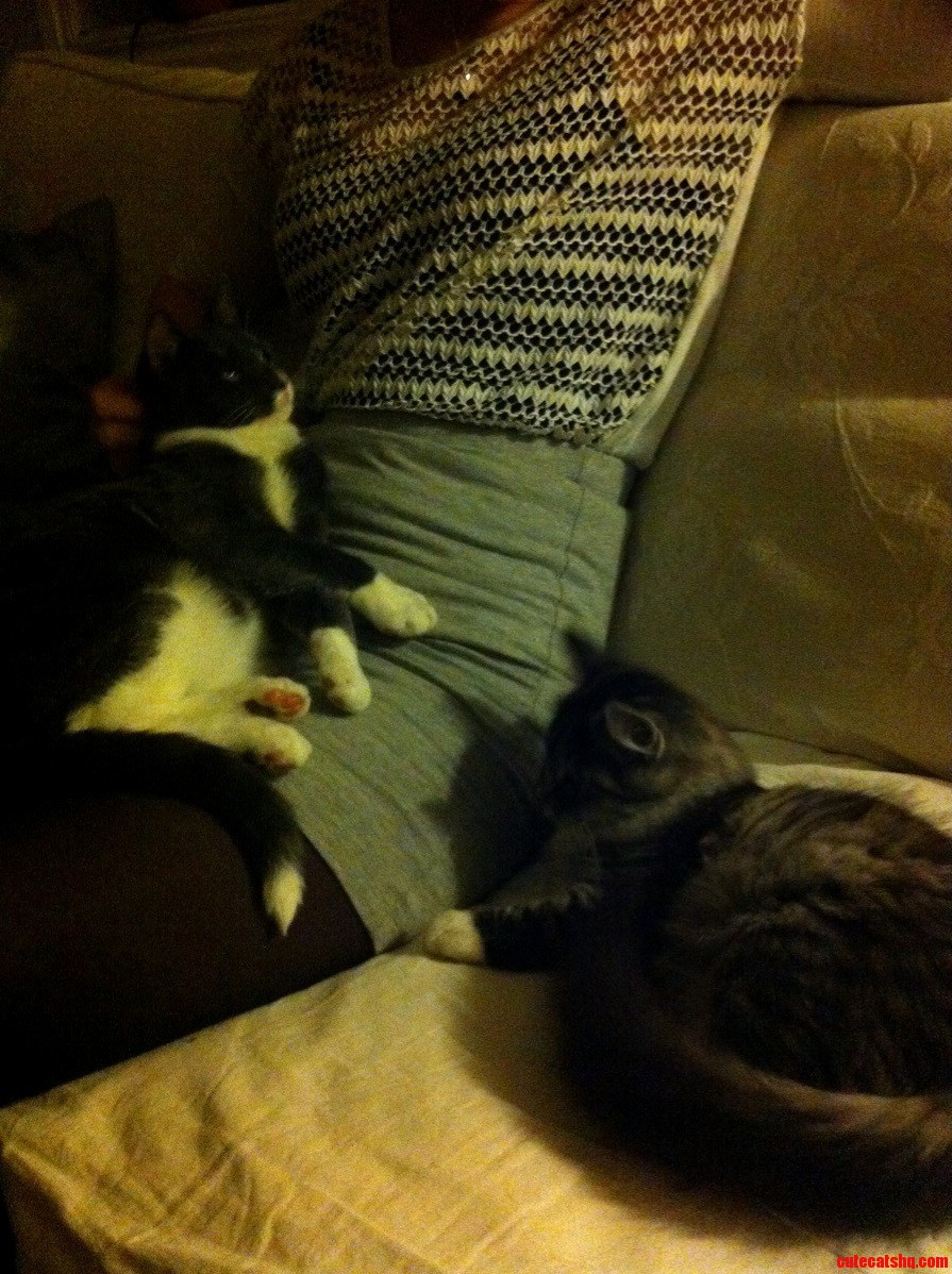 Visiting My Aunt I Havent Seen in 6 Years... Surprise Kittens