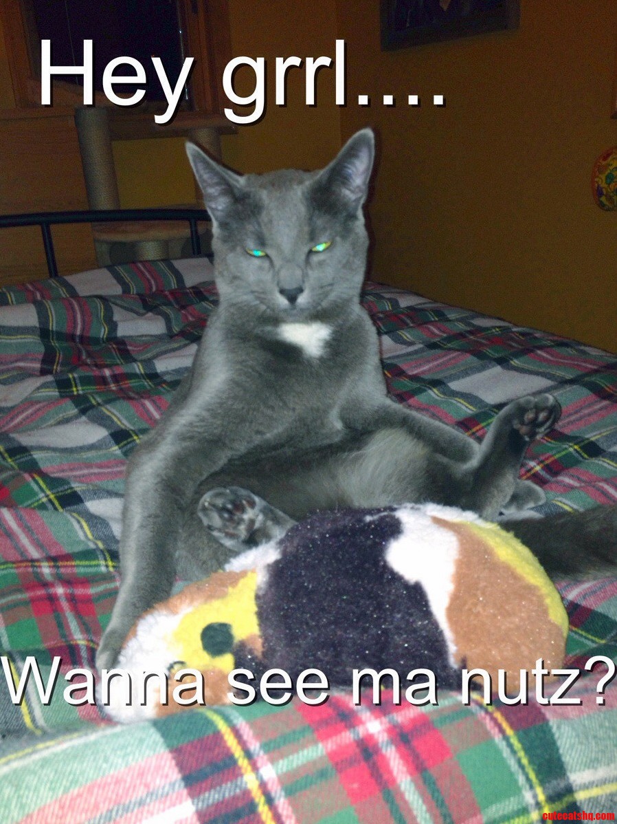 Wanna See My Nuts