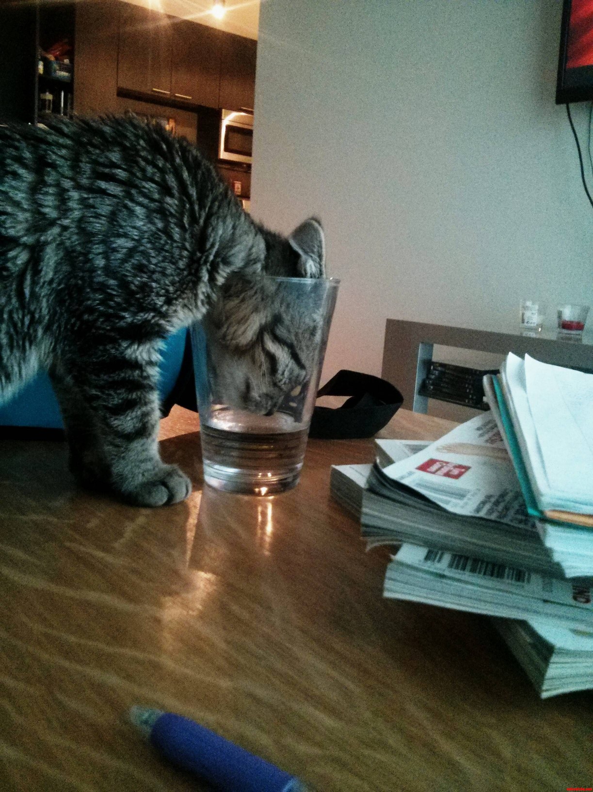 Water Thief