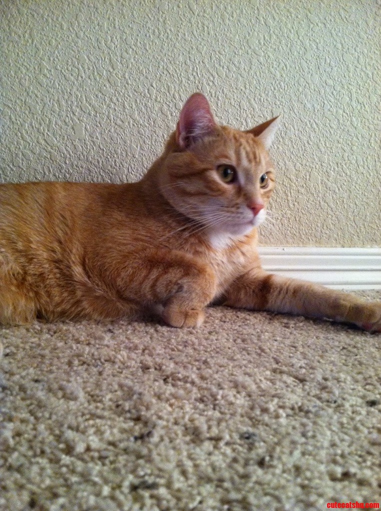 We Like to Call It His Fancy Stance