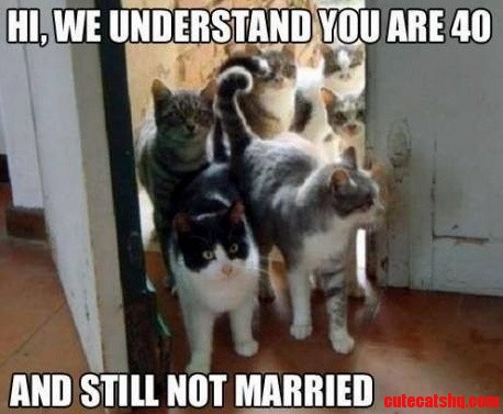 We Understand You Are 40....