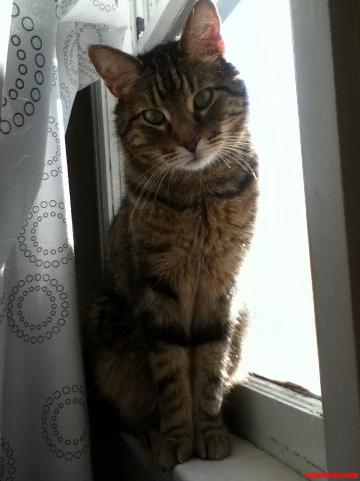 Well Chairman Youre Looking Dapper This Morning.