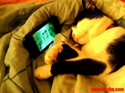 Well...thats My Cat