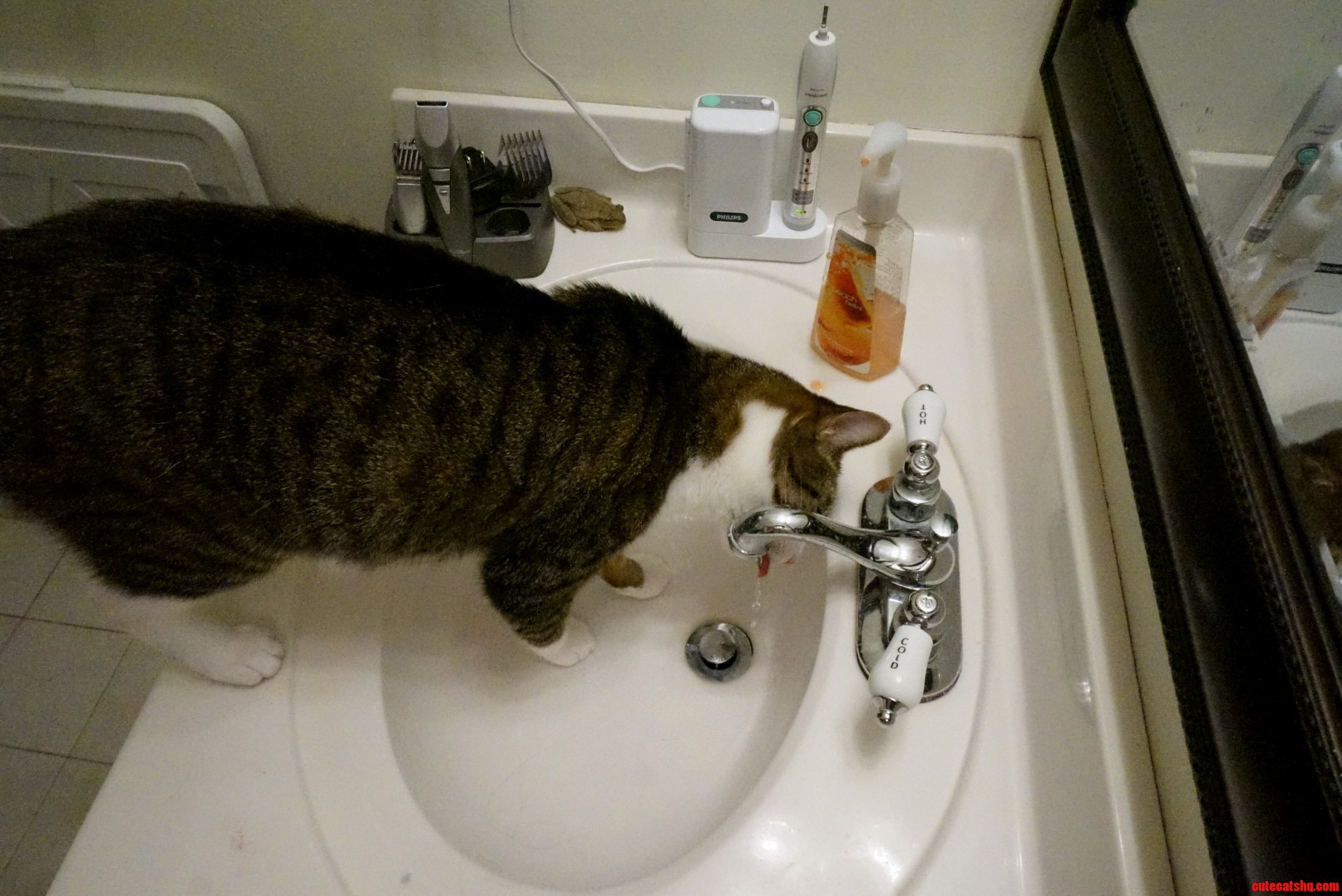 What a Terrible Hunter.