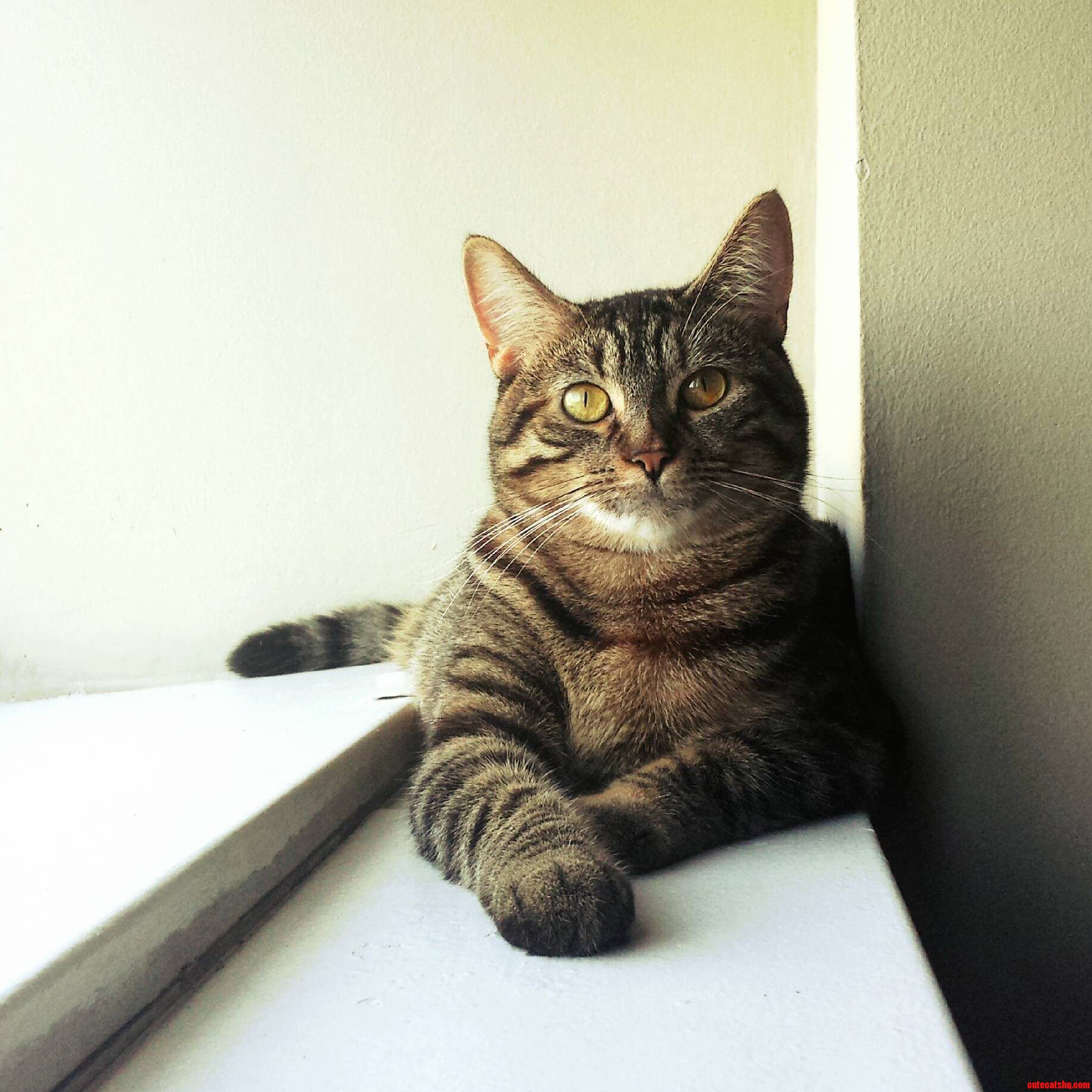 What Are You Thinking About Maddy