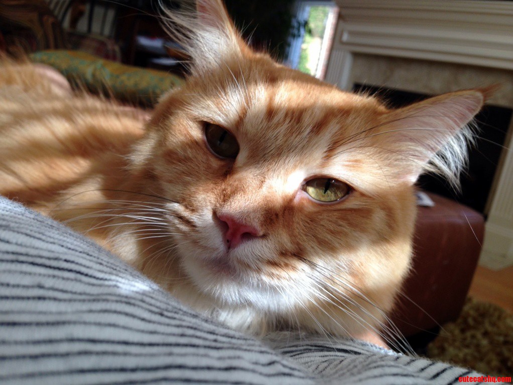 What Do You Guys Think of Gus