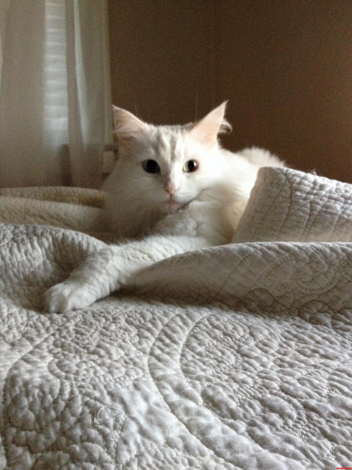 What I Wake Up to Every Am
